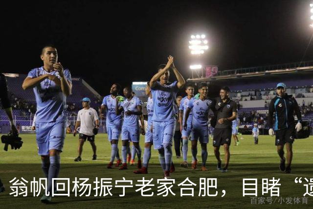 翁帆回杨振宁老家合肥，目睹“遗产”落地，才知亡夫留了一手好牌