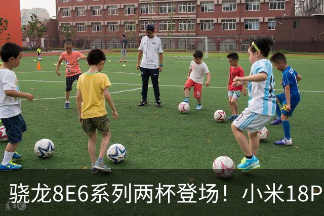 骁龙8E6系列两杯登场！小米18Pro系列不仅全球首发，还独占一款
